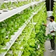Agriculture Equipment Greenhouse Accessories Vertical Farming  Super NFT Channel Growing System